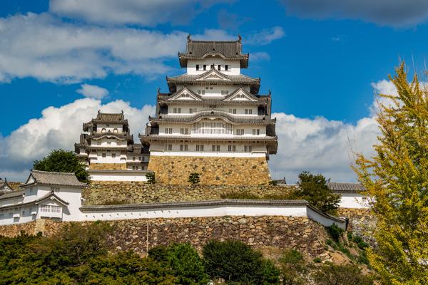 Pevnost bílé volavky I.