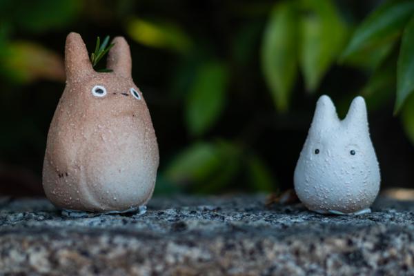 Totoro-kun